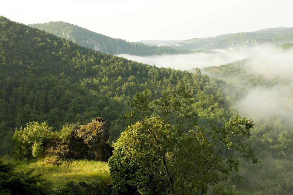 Le Colombier Saint-Veran La Roque-Sainte-Marguerite Экстерьер фото
