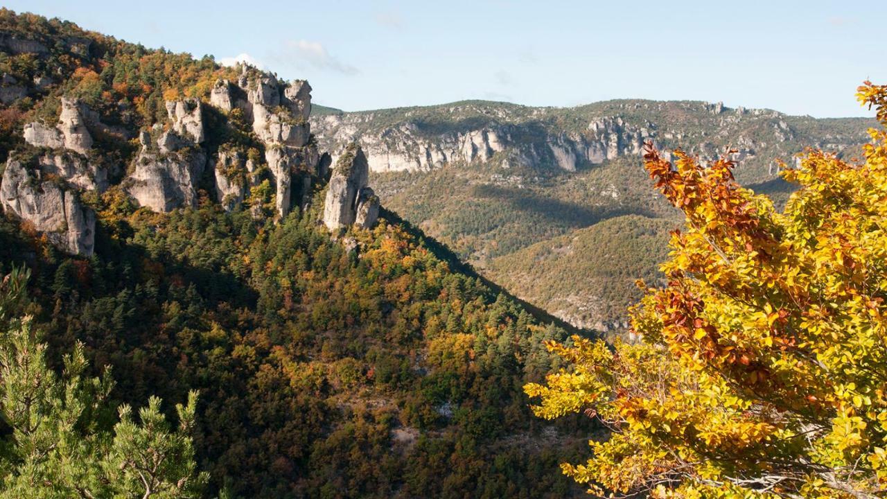 Le Colombier Saint-Veran La Roque-Sainte-Marguerite Экстерьер фото